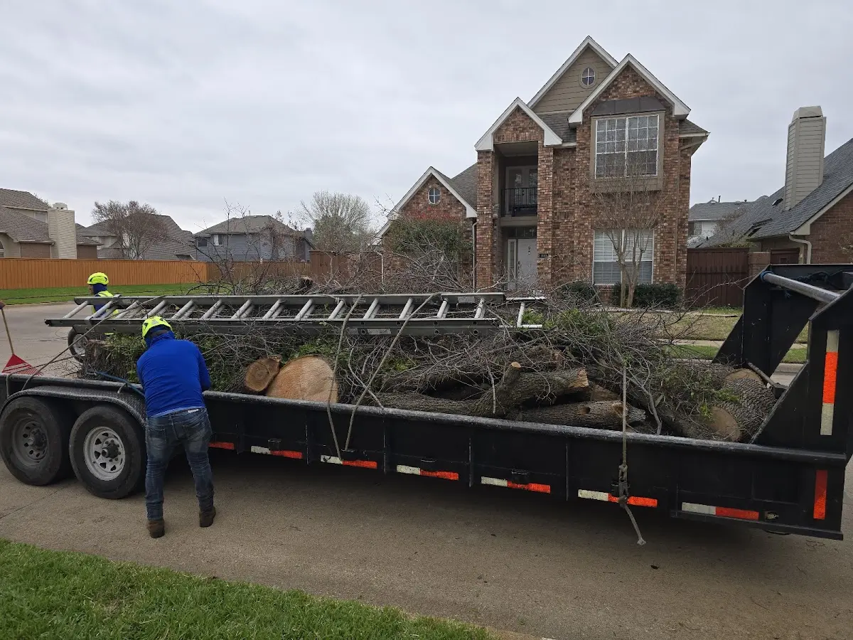 Expert Tree Pest Control with proper safety equipment in East Moriches